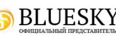 blueskynail logo