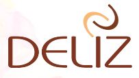 deliz.ru logo