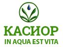 kasior.ru logo