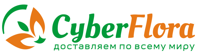 cyber-flora.ru