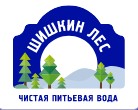 cone-forest.ru-logo.jpg
